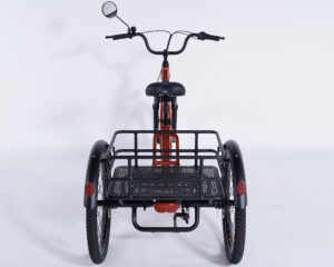 Tricycle adulte non &eacute;lectrique Damius ESSENTIEL grand panier arri&egrave;re fil m&eacute;tal