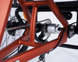 Tricycle adulte Damius ESSENTIEL 7 vitesses d&eacute;railleur Shimano et diff&eacute;rentiel