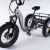 Tricycle Fatbike Essentiel tous chemins pour adulte