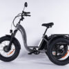 Tricycle Fatbike pour adulte avec assistance électrique au pédalage