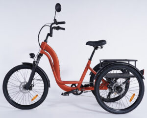V&eacute;lo 3 roues adulte Damius ESSENTIEL non motoris&eacute; parfait pour une utilisation en entrep&ocirc;t