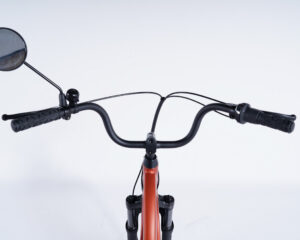 Tricycle adulte non &eacute;lectrique Damius ESSENTIEL poign&eacute;es ergonomiques et r&eacute;troviseur