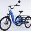 Tricycle Damius ESSENTIEL non électrique idéal pour un usage professionnel