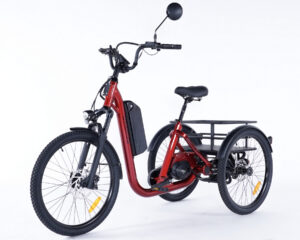 Tricycle &eacute;lectrique pour senior avec panier arri&egrave;re grande capacit&eacute;