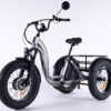Tricycle électrique Essentiel Fatbike gris