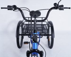 Tricycle stable adulte Damius ESSENTIEL version urbaine pour d&eacute;placement quotidien
