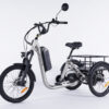 Vélo électrique stable trois roues Damius EVASION EVO gris