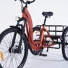 Tricycle 3 roues Damius ESSENTIEL non électrique roue 24 pouces