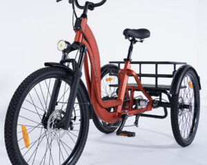 Tricycle 3 roues Damius ESSENTIEL non &eacute;lectrique roue 24 pouces
