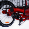 Tricycle électrique pour adulte Damius EVASION 95 Nm vue arrière
