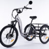 Tricycle électrique Essentiel pour adulte