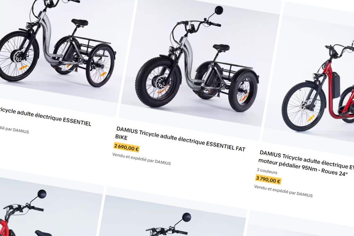 Damius Decathlon Tricycle electrique